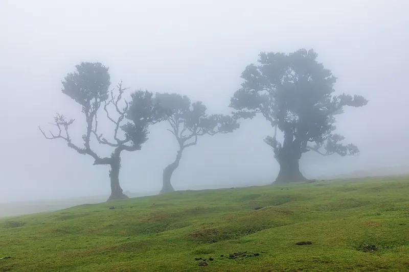 The Fan Club Fallout: When Celebrity Stan Armies Turn on Their Own Idols — and the Internet Burns Down